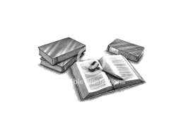 gavel  amp  books art s  nobl